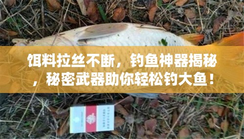 傷弓之鳥