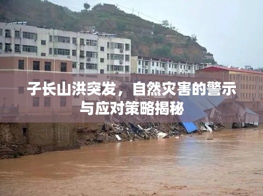 子長(zhǎng)山洪突發(fā)，自然災(zāi)害的警示與應(yīng)對(duì)策略揭秘