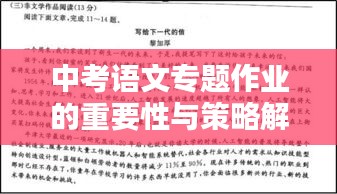 中考語(yǔ)文專(zhuān)題作業(yè)的重要性與策略解析