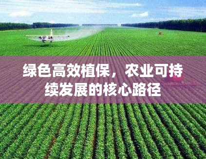 綠色高效植保，農(nóng)業(yè)可持續(xù)發(fā)展的核心路徑
