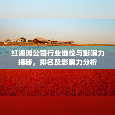 紅海灘公司行業(yè)地位與影響力揭秘，排名及影響力分析