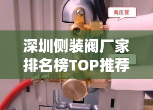 深圳側(cè)裝閥廠家排名榜TOP推薦，最新排名榜單揭曉！