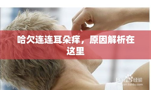 哈欠連連耳朵癢，原因解析在這里