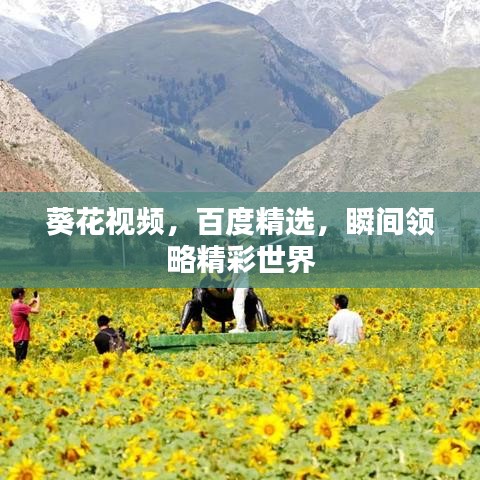 葵花視頻，百度精選，瞬間領(lǐng)略精彩世界