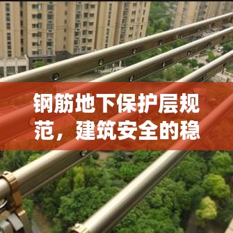 夯雀兒先飛