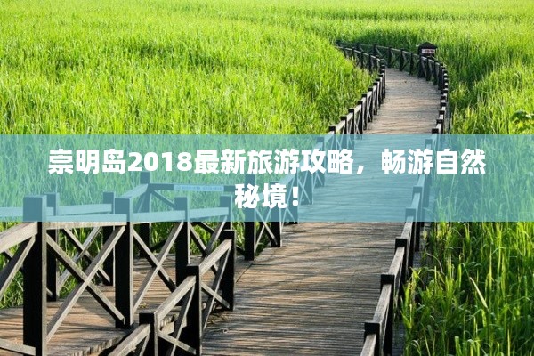 崇明島2018最新旅游攻略，暢游自然秘境！
