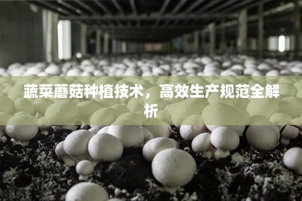 蔬菜蘑菇種植技術(shù)，高效生產(chǎn)規(guī)范全解析