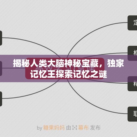 揭秘人類大腦神秘寶藏，獨家記憶王探索記憶之謎