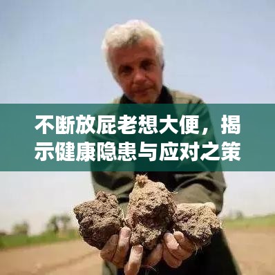 不斷放屁老想大便，揭示健康隱患與應對之策