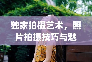獨家拍攝藝術(shù)，照片拍攝技巧與魅力展現(xiàn)