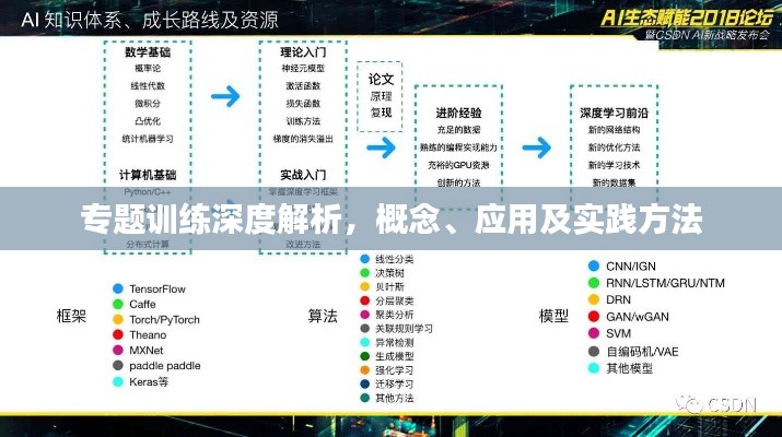 專題訓(xùn)練深度解析，概念、應(yīng)用及實(shí)踐方法