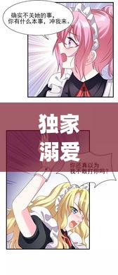 兩袖清風
