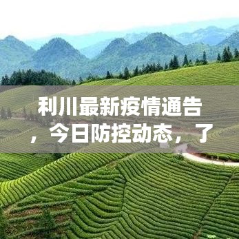 利川最新疫情通告，今日防控動態(tài)，了解最新進展！