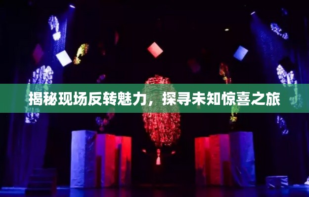 揭秘現(xiàn)場(chǎng)反轉(zhuǎn)魅力，探尋未知驚喜之旅