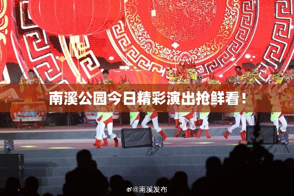南溪公園今日精彩演出搶鮮看！