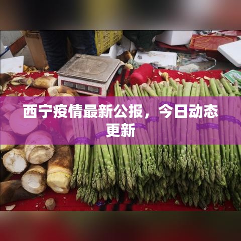 西寧疫情最新公報(bào)，今日動態(tài)更新