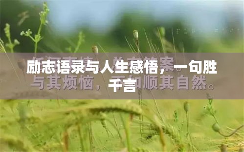 勵(lì)志語錄與人生感悟，一句勝千言