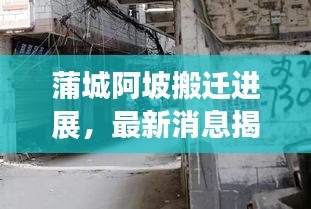 蒲城阿坡搬遷進(jìn)展，最新消息揭秘